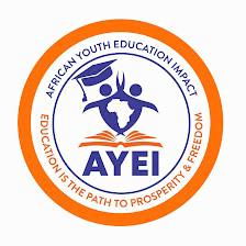 African Youth Education Impact