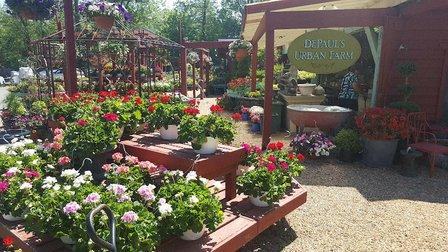 Depaul's Urban Farm