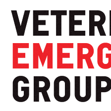 Veterinary Emergency Group