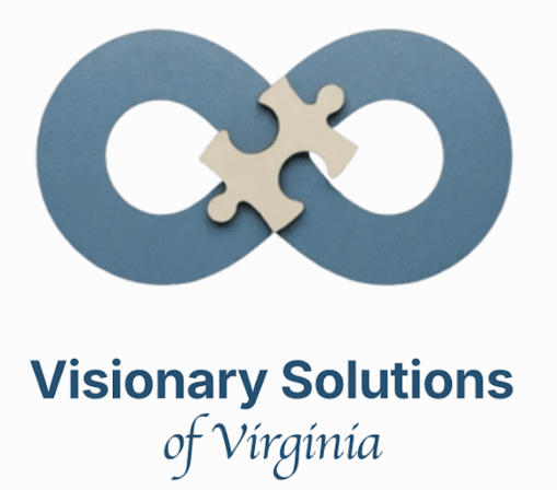 Visionary Solutions