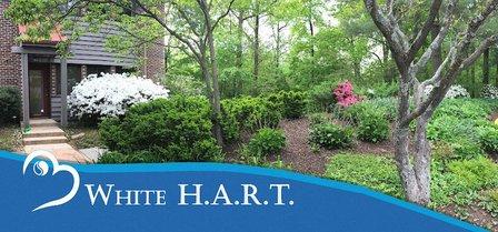 White H.A.R.T. Massage