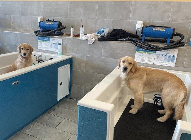 Pet Evolution - Fairfax, VA - Grooming | Self-Wash | Healthy Food | Mobile Nail Trim