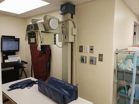 Middleburg Animal Hospital