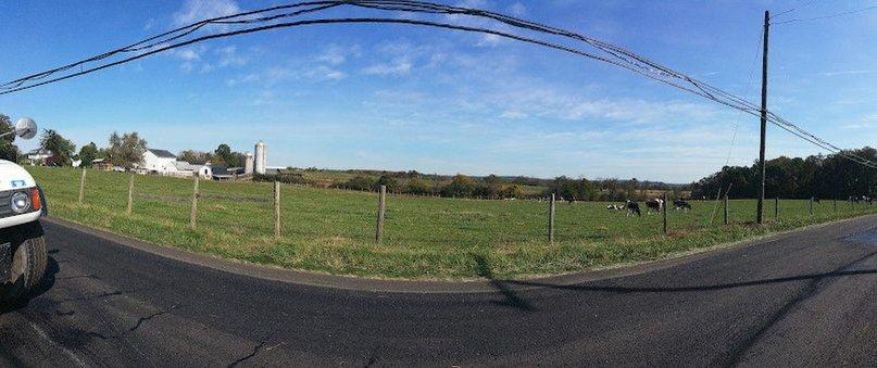 Dogwood Farm