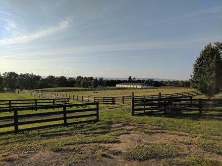 Country Fox Farm