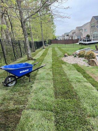 Capital landscaping & services llc