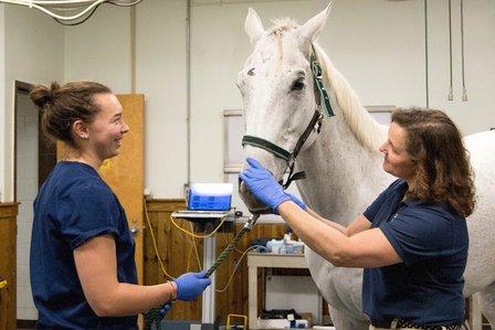 Marion duPont Scott Equine Medical Center