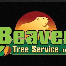 Beaver Tree Service LLC