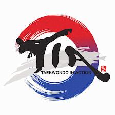 Taekwondo In Action - Fairfax