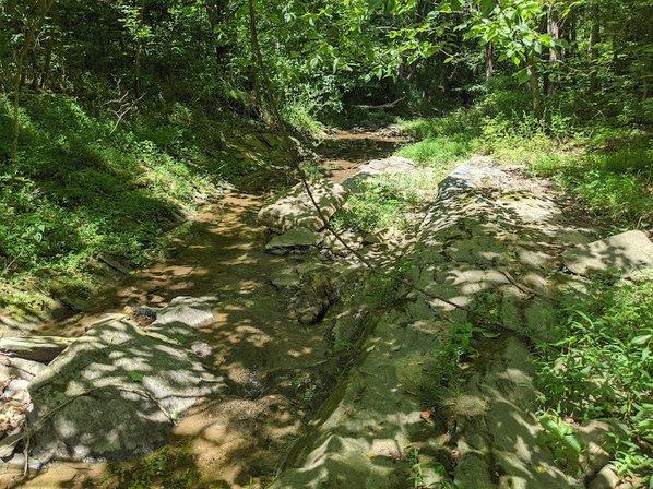 Bramble Hill