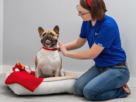 PetSmart