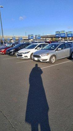 Alamo Rent A Car