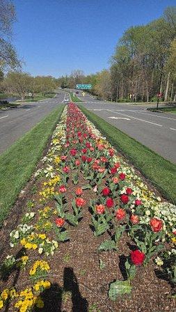 Falls Church