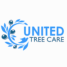 United Tree Care LLC
