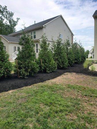 Pls Landscaping & tree services