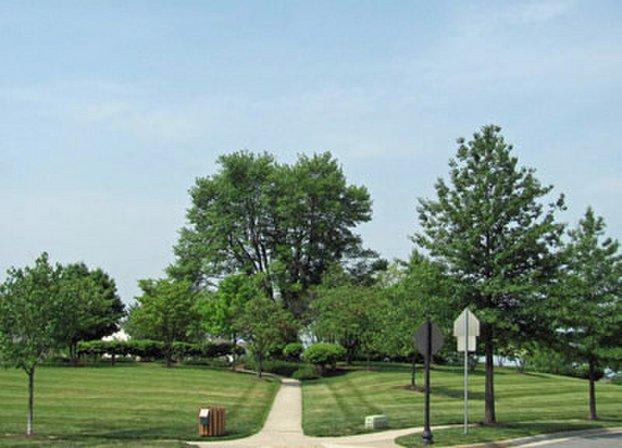 Hutchison Knoll