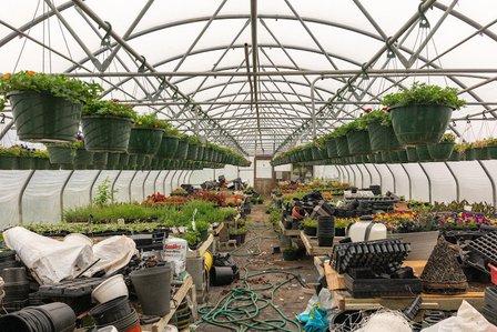 Northern Virginia Wholesale Growers