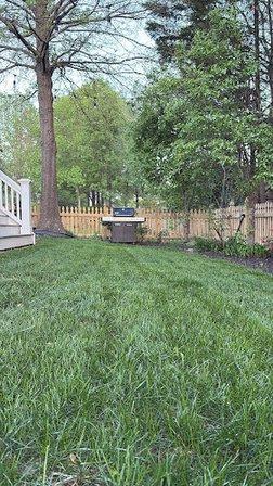 Lawn Joy