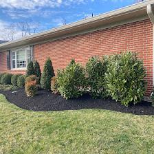 JG Lawncare & Landscaping