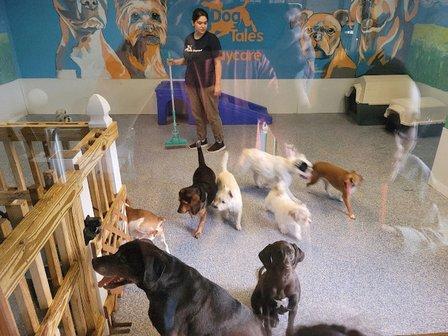 Dog Tales Daycare & Boarding