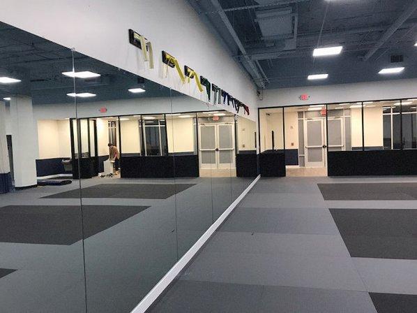 Taekwondo In Action - Fairfax
