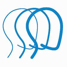 Brain Injury Association of America
