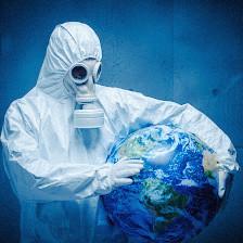 Mold Removal Services