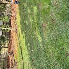 L J Green LLC lawn care services