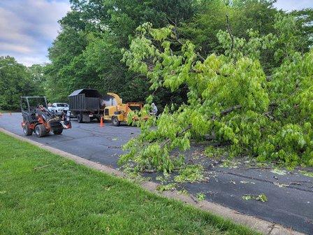 Beaver Tree Service LLC