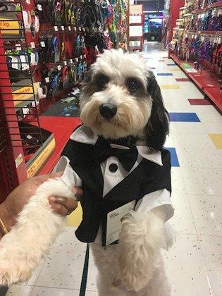 Petco