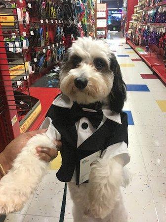 Petco