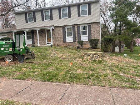 United Tree Care LLC