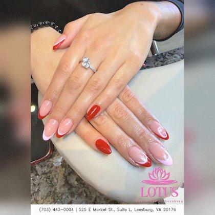 Lotus Nail & Spa of Leesburg