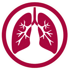 NOVA Pulmonary Critical Care and Sleep Associates - Vienna