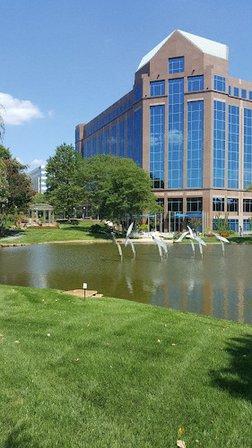 Savvis Federal Systems Inc