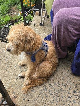 Banfield Pet Hospital