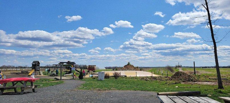 Messick's Farm Market
