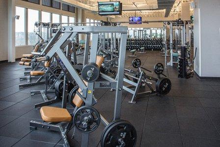 The Fitness Equation