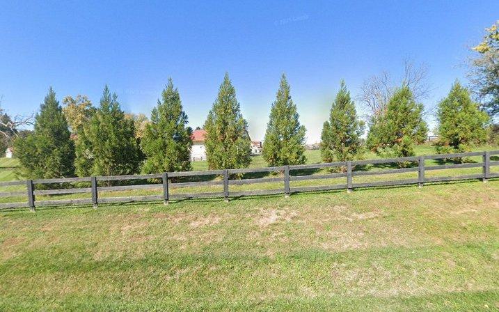 Christmas Tree Farm at Wheatland Spring