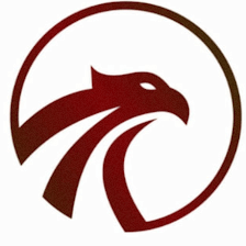 Hawk Family Law