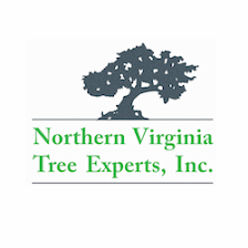 Northern Virginia Tree Experts, Inc