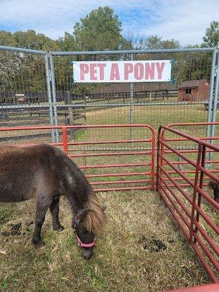 Equine Rescue League