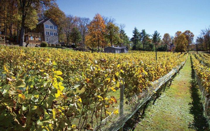 Twin Oaks Tavern Winery