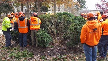 SavATree - Tree Service & Lawn Care