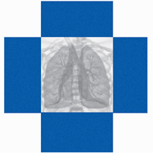 Pulmonary and Critical Care Specialists of Northern Virginia, P.C.
