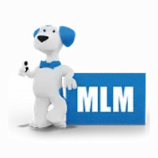 MLM Home Improvement