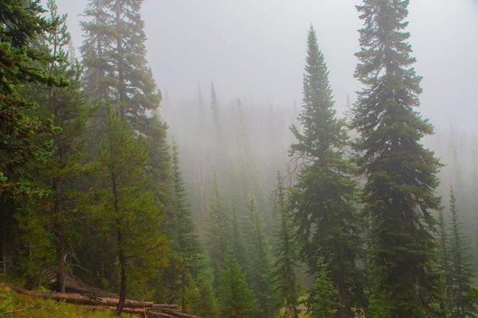 Pine Peak Pictures | Videography, Photography, and Editing