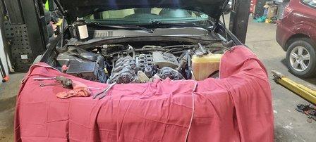 Auto 81