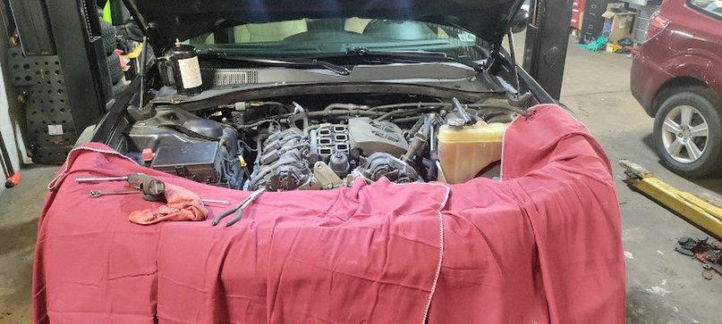 Auto 81