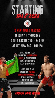 Kaizen MMA Vienna